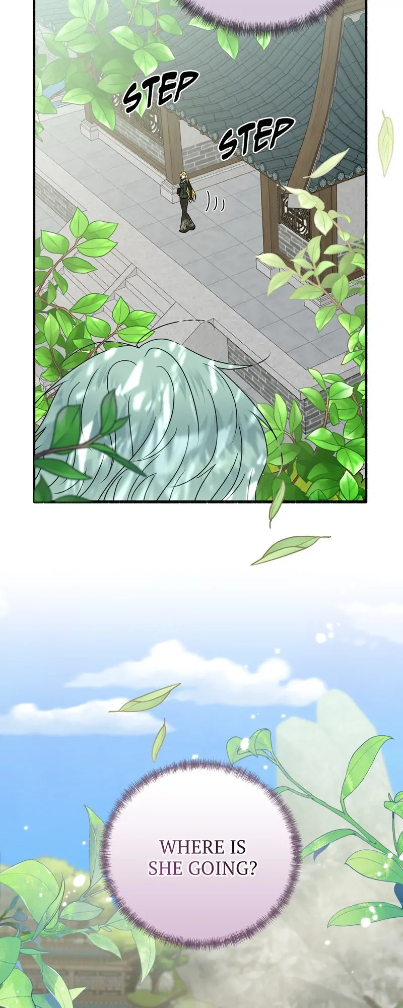 37850165 800 2000 118458