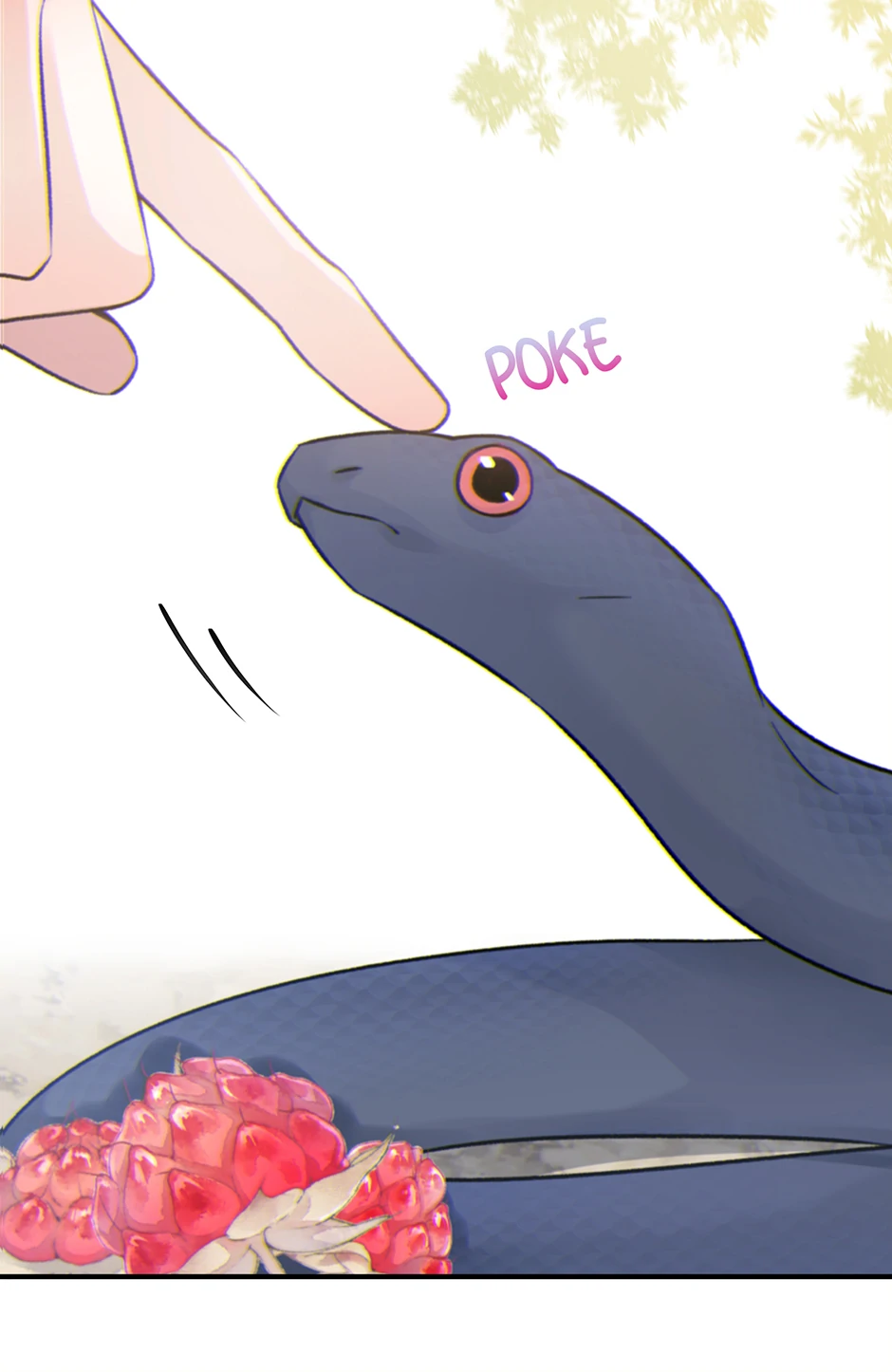 74052322 940 1446 69116